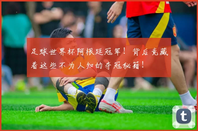 足球世界杯阿根廷冠军！背后竟藏着这些不为人知的夺冠秘籍！