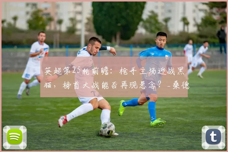 英超第25轮前瞻：枪手主场迎战黑猫，榜首大战能否再现悬念？_桑德兰_阿森纳_防守