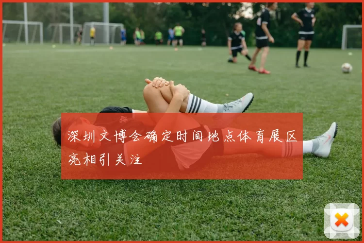 深圳文博会确定时间地点体育展区亮相引关注