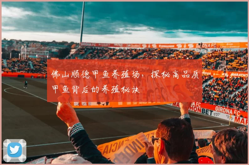 佛山顺德甲鱼养殖场,探秘高品质甲鱼背后的养殖秘诀