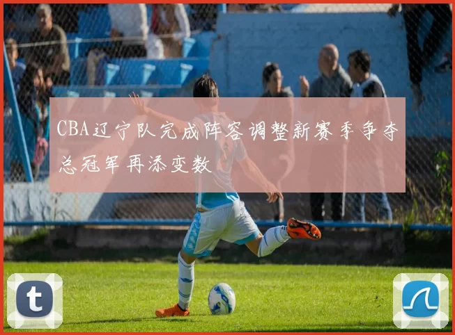 CBA辽宁队完成阵容调整新赛季争夺总冠军再添变数