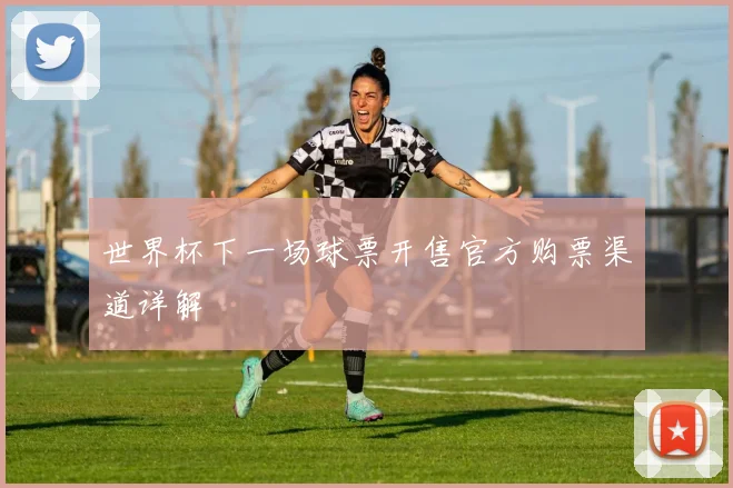 世界杯下一场球票开售官方购票渠道详解