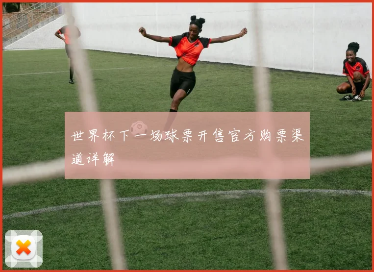 世界杯下一场球票开售官方购票渠道详解